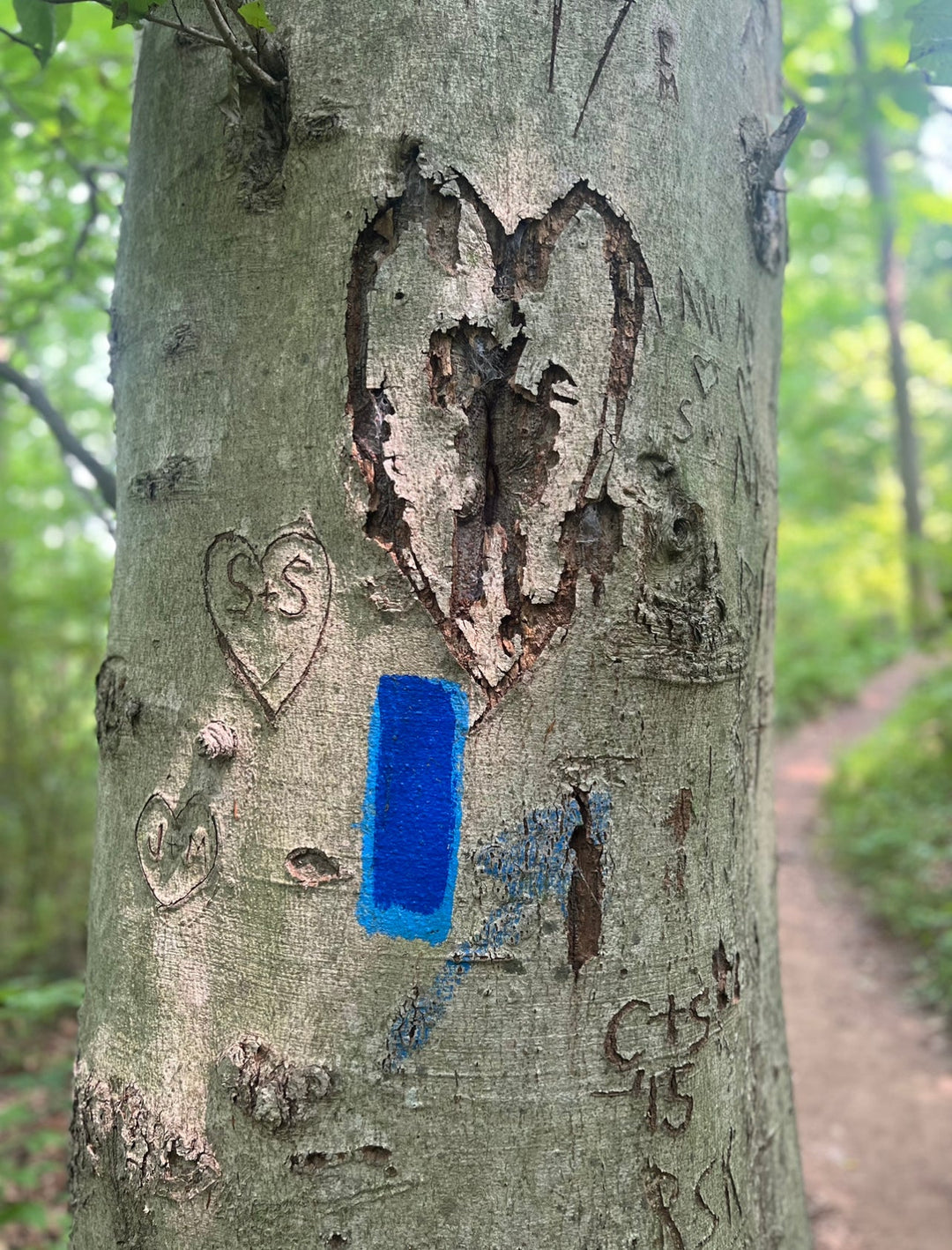 Unlearning Love: How to Open Your Heart Again
