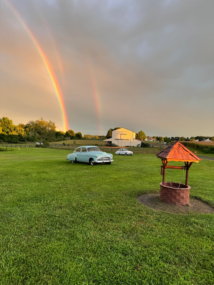 The Nature Escape - Camping Experience